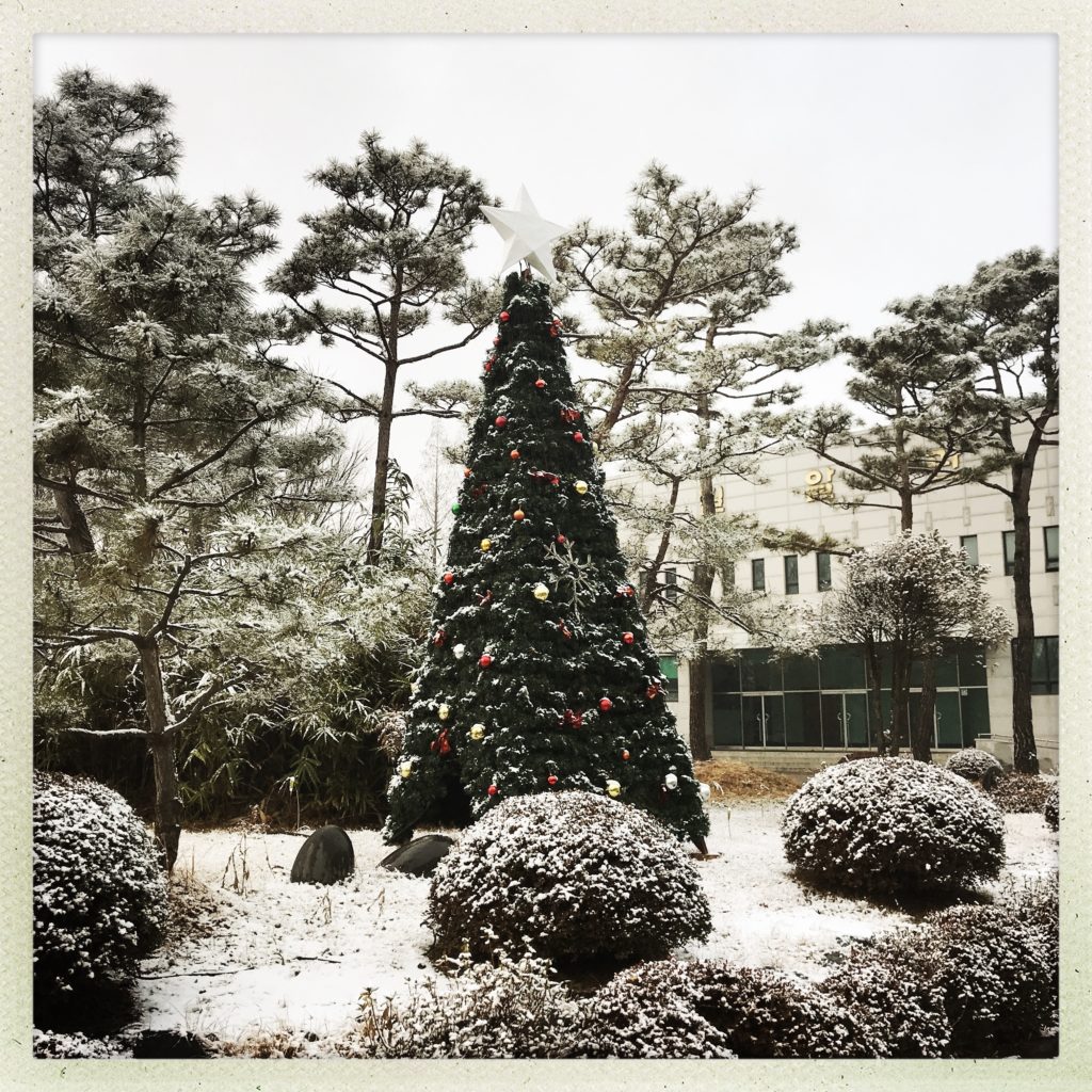 Christmas In Pyeongtaek