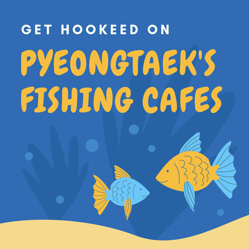 Get Hooked on Pyeongtaek’s Fishing Cafes