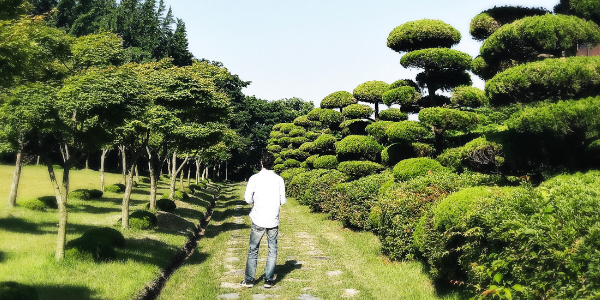 Man Standing Outside in Cheonan South Korea