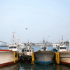 Immersive Cultural Experiences in Taean