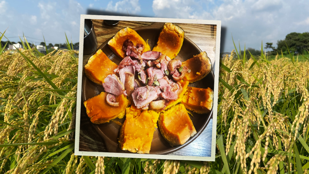 The Best “Basic” Fall Day in Pyeongtaek