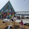 Seosan Birdland Family Itinerary