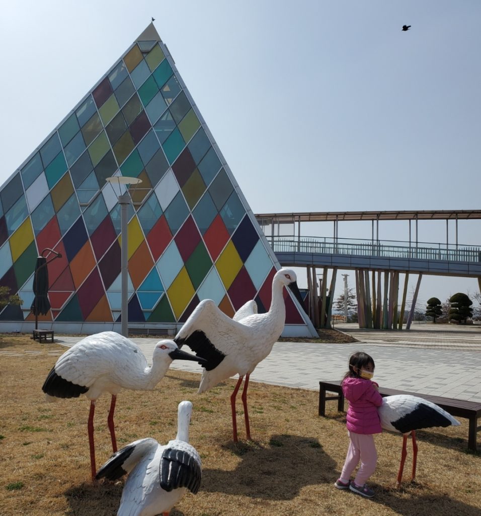 Seosan Birdland Family Itinerary