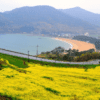 Family Weekend in Namhae Itinerary