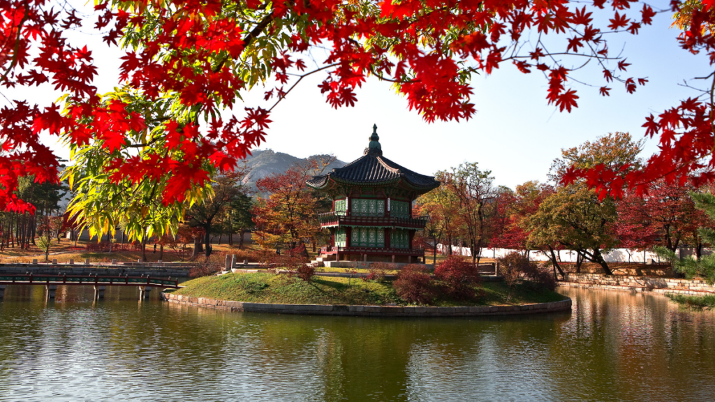 5 Best Small Korean Tour Companies to Try
