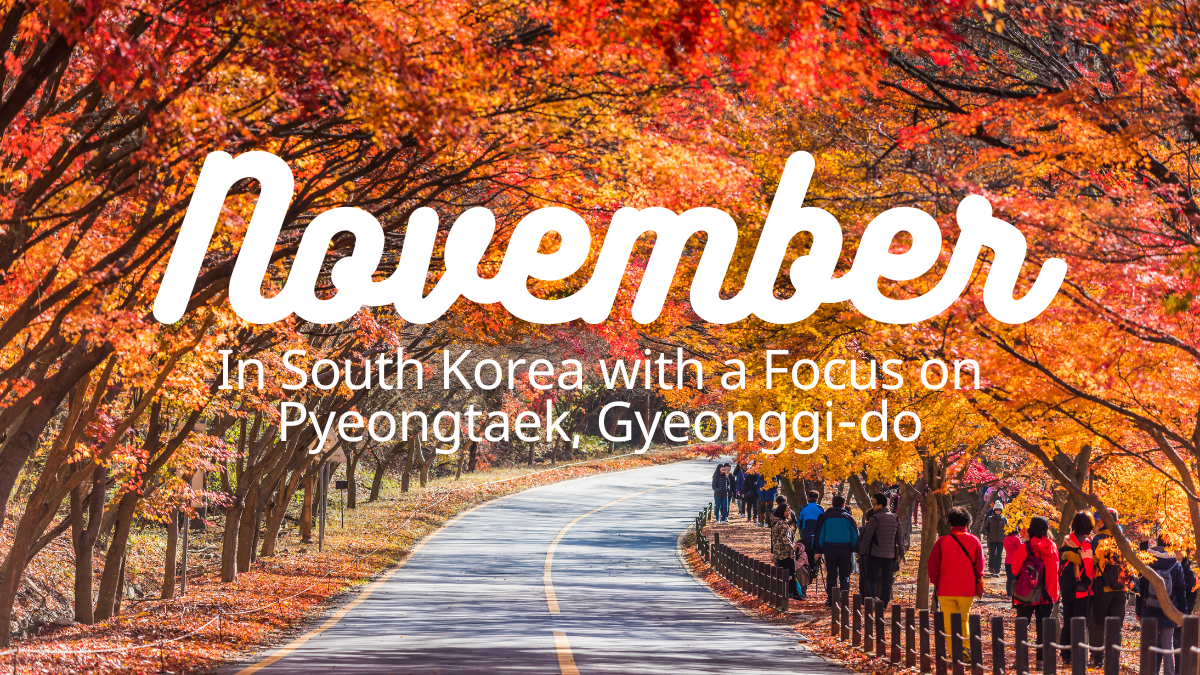 visit korea november