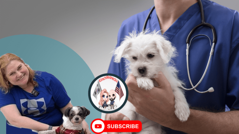 Choosing a veterinarian
