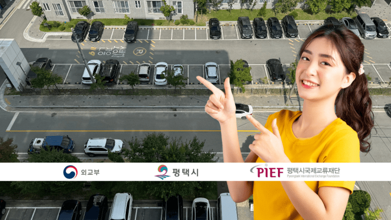 parking tips in Pyeongtaek-si, South Korea