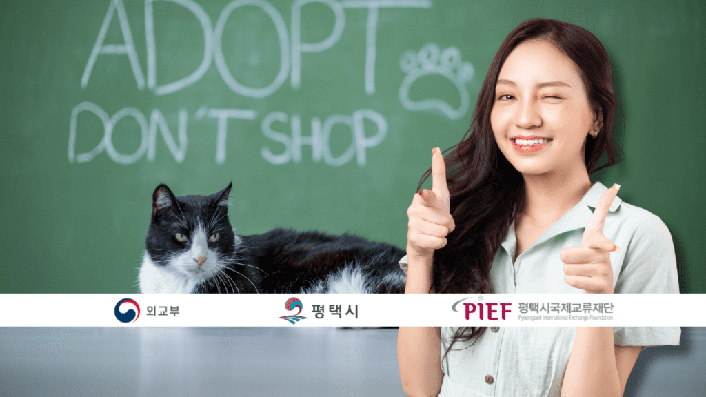 Adopting from Pyeongtaek Animal Shelter