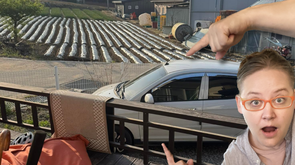 Buying a Used Car in Korea Without Visiting a Dealership in Person