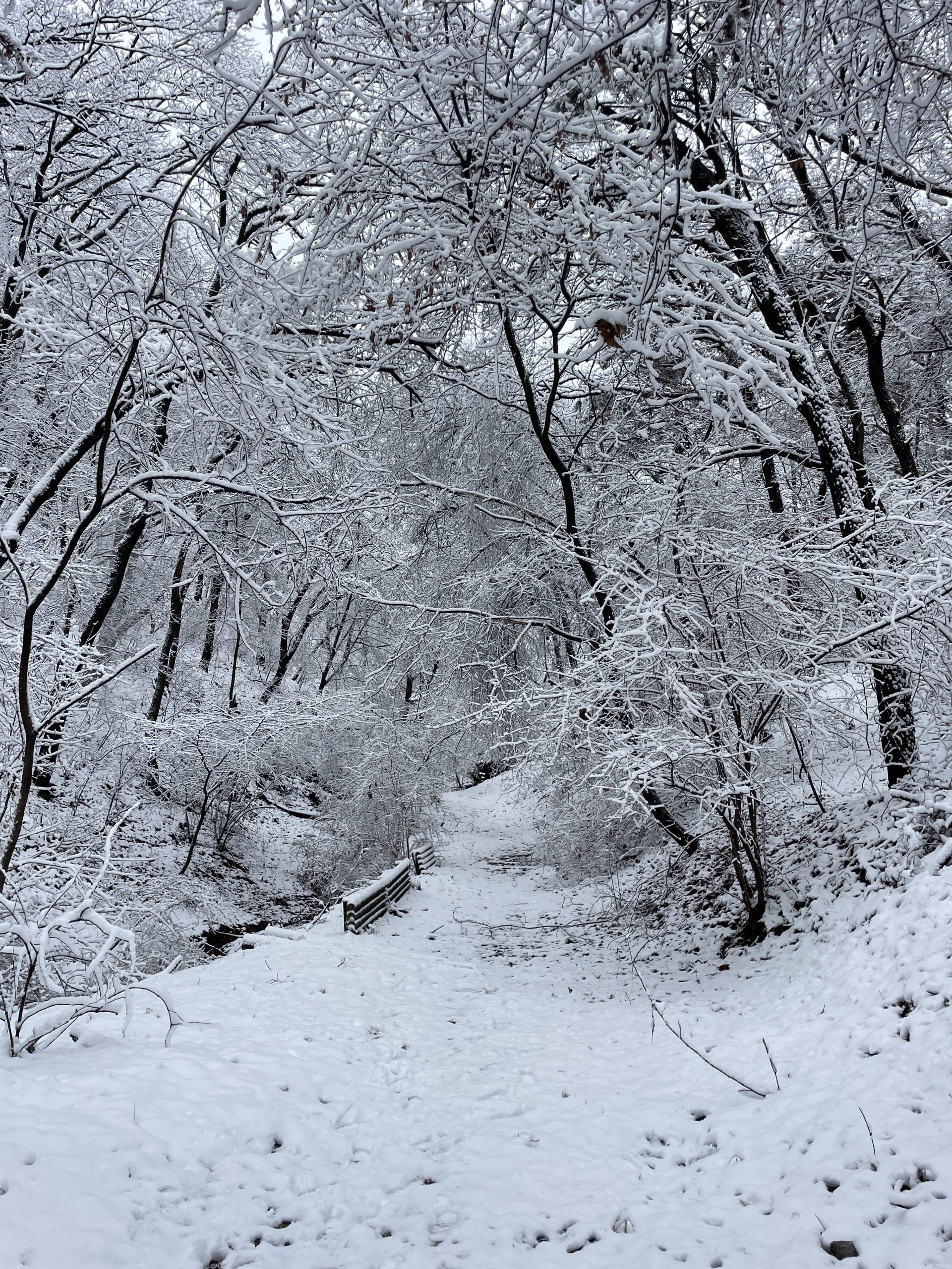 hiking in korea snowy buraksan