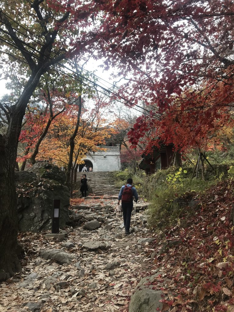 hiking in south korea
