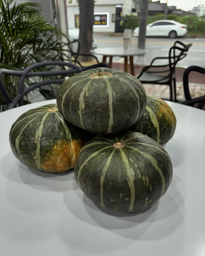 hobak pumpkins in korea