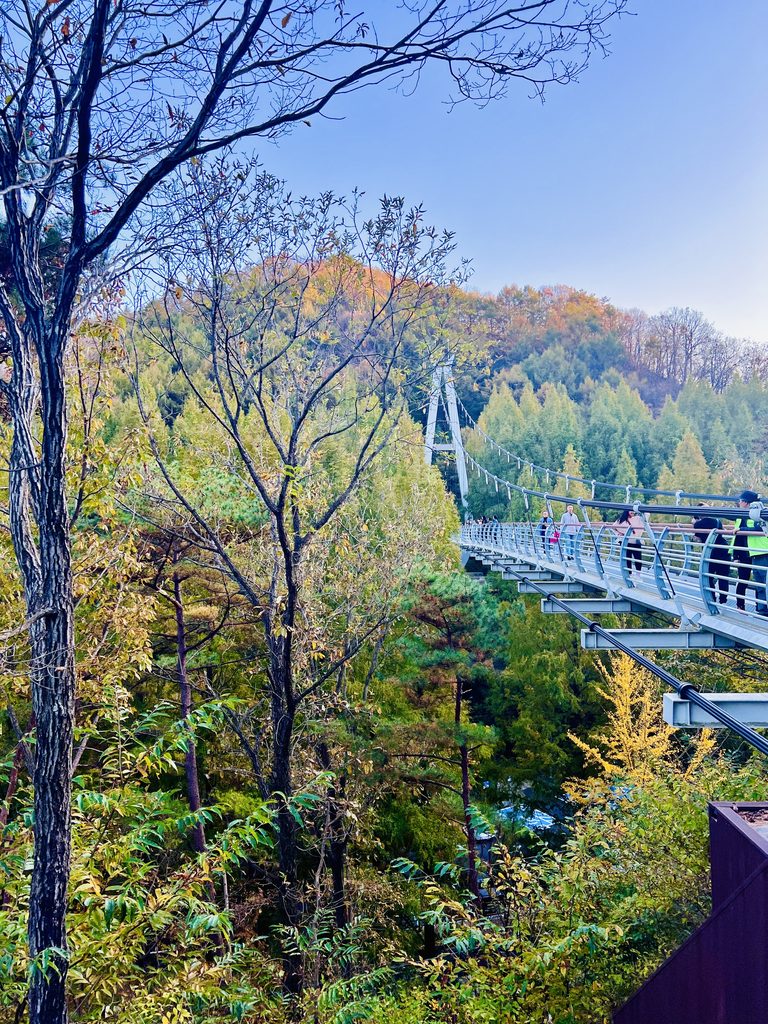 Mt. Jangtaesan Natural Recreation Forest, Daejeon in Fall
