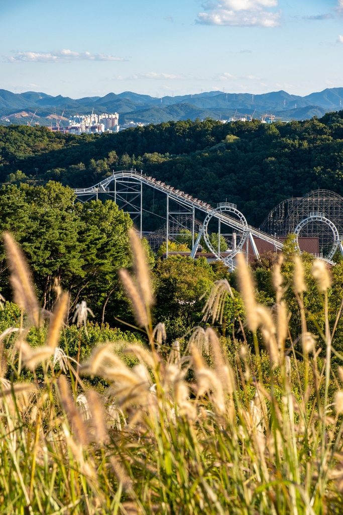 Rollercoasters of Everland in Fall