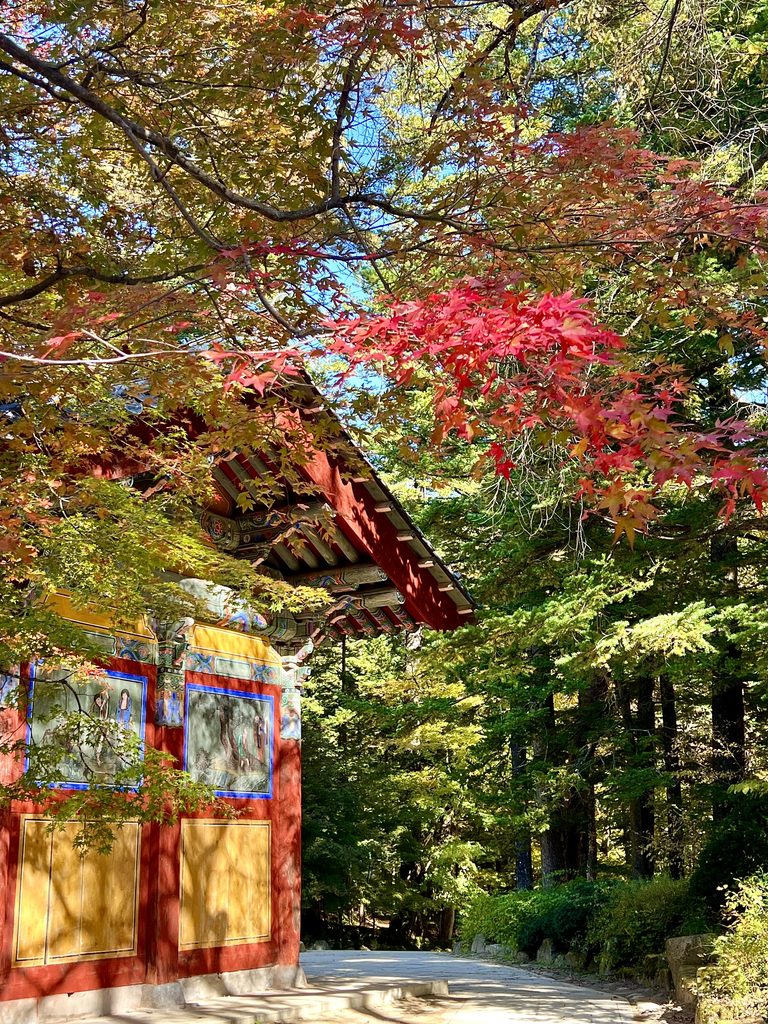 Woljeongsa Buddhist Temple, Pyeongchang in Fall